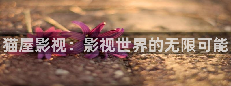 奇优手机影视电视剧免费在线观看