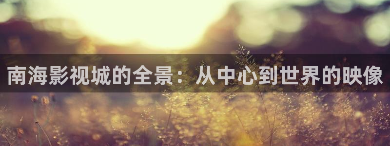 奇优影院手机板